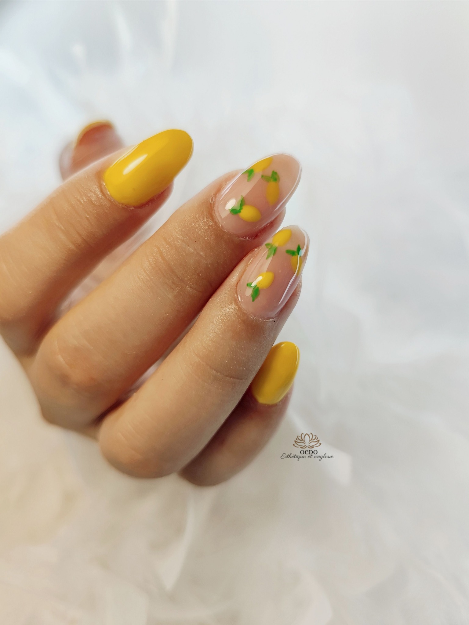 514502093_1271282444999366_9099732999116751412_n