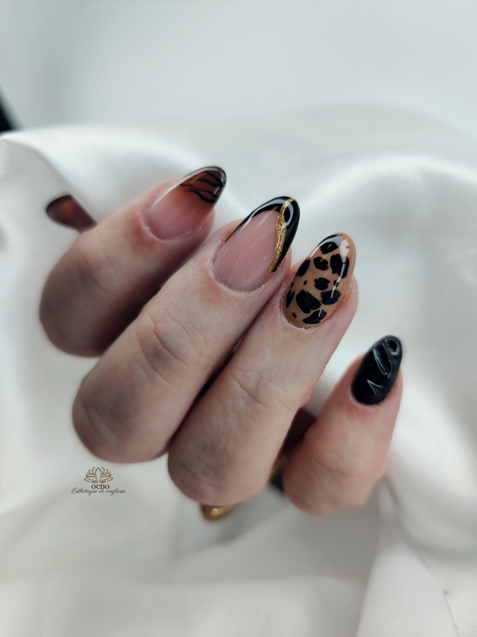 561677509_1366281695499440_3947685572928780568_n